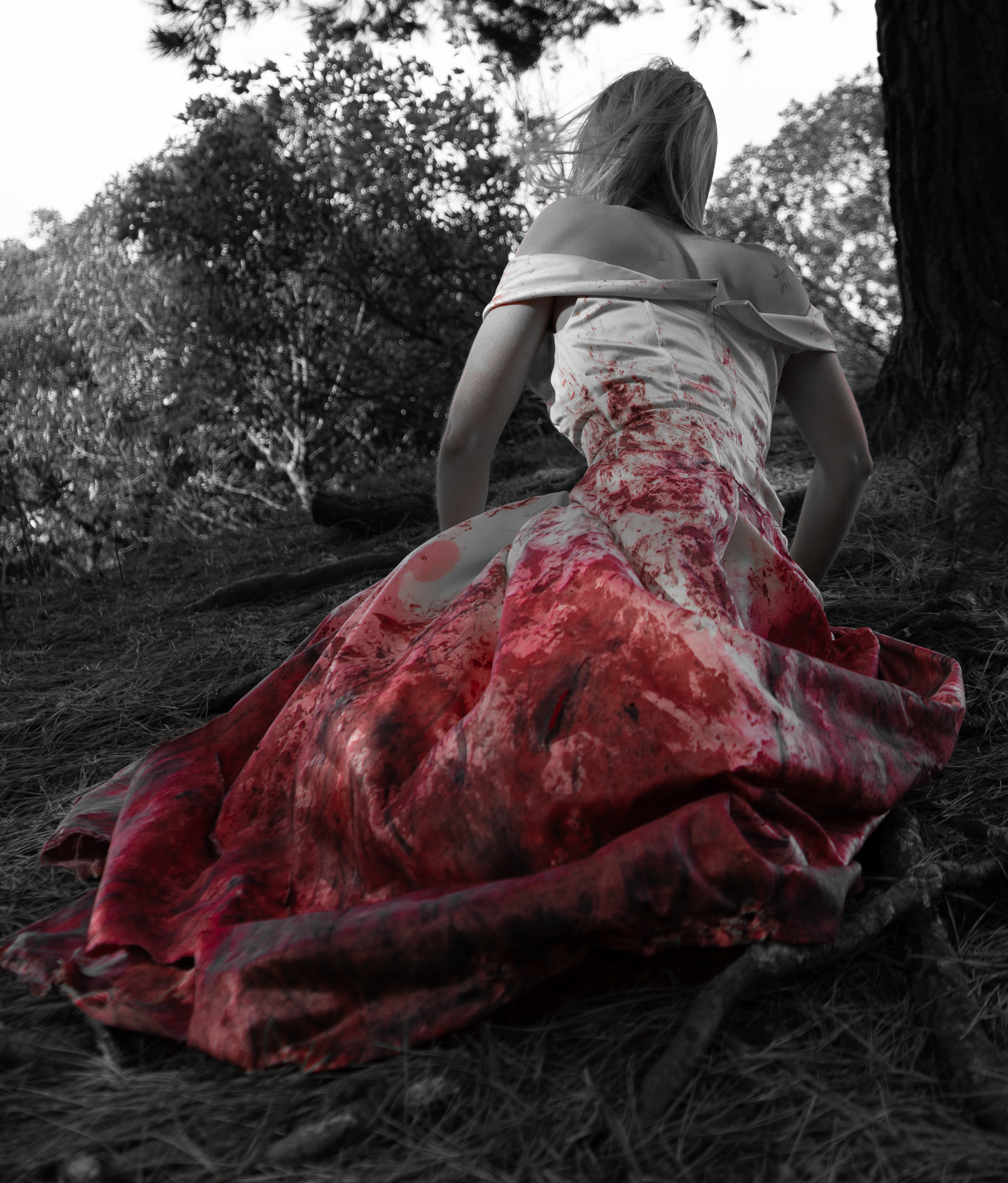 TheBloodyForest-57.jpg