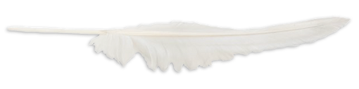 deskFeather.png