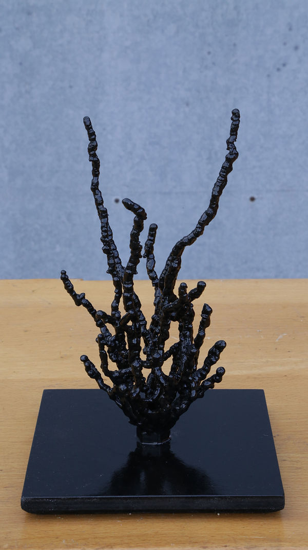 Untitled...but sort of looks like roots