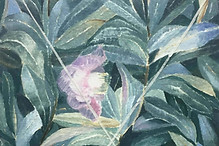 Untitled (cross).JPG