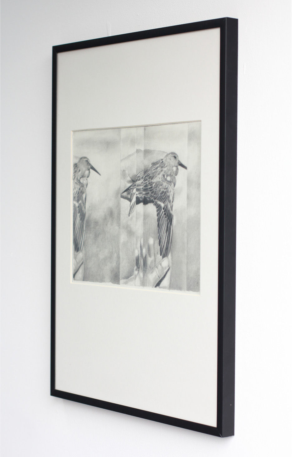 BIC 1957 framed sq