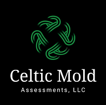 CelticLogo_FINAL_V1_June_2025.png