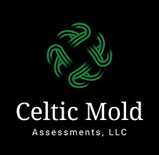CelticLogo_FINAL_V1_June_2025.png