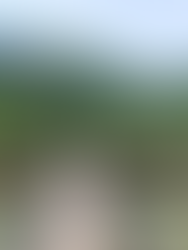 Kootenai Falls Suspension Bridge