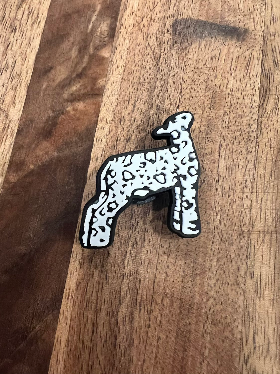 Thumbnail: Leopard Show Stock - Croc Jibbitz