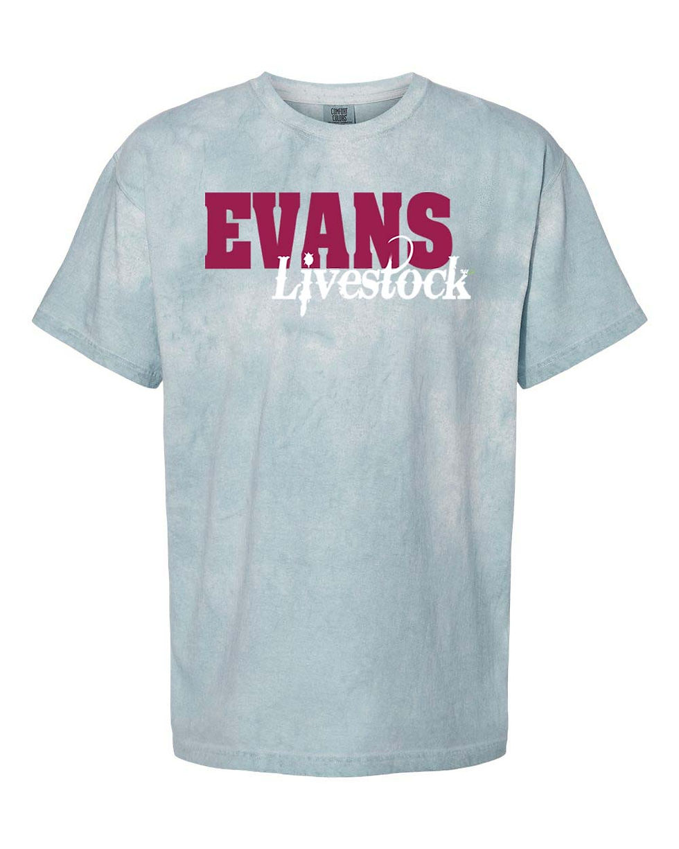 Thumbnail: Evans - Comfort Colors - Crew - Adult/Unisex - Colorblast - Red