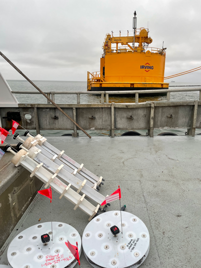 IMG_DrifterIrving .HEIC