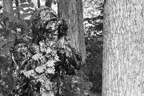 Private Investigator hiding in the woods