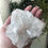 Thumbnail: CLEAR QUARTZ CLUSTER