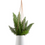 Thumbnail: ASHBURY HANGING PLANTER ~ WHITE