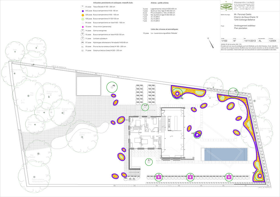 Plan Plantation