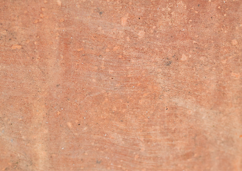 anna back ground 1 .png