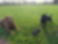 IMG_9031.jpeg