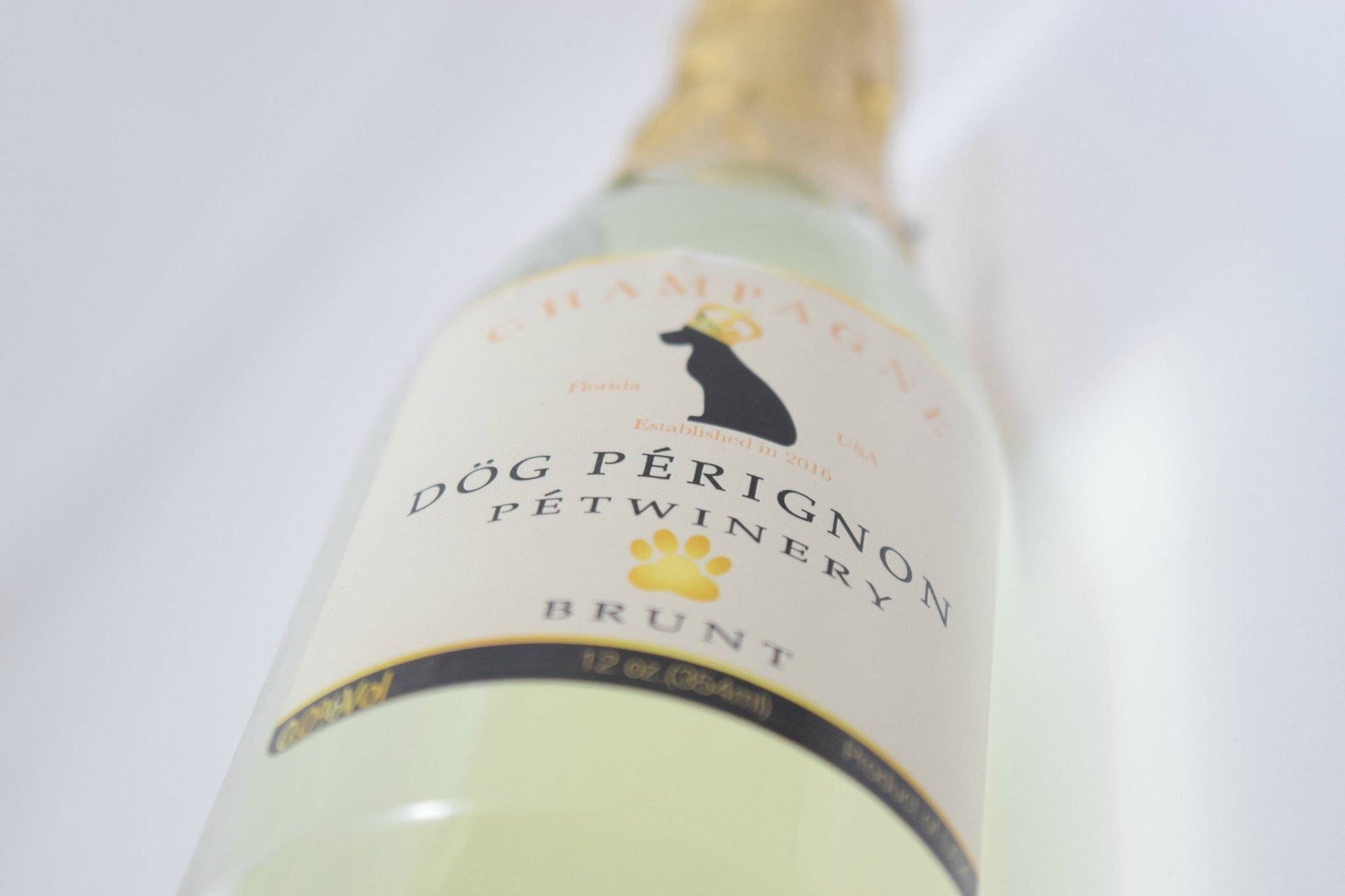 Dog Champagne