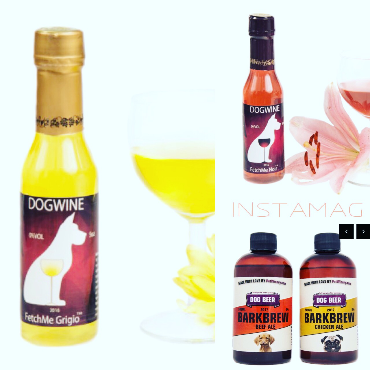 Dog Beer and Wine