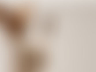 What is the best dog food in Canada?