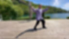 Les 24 mouvements du Tai Chi  - style Yang