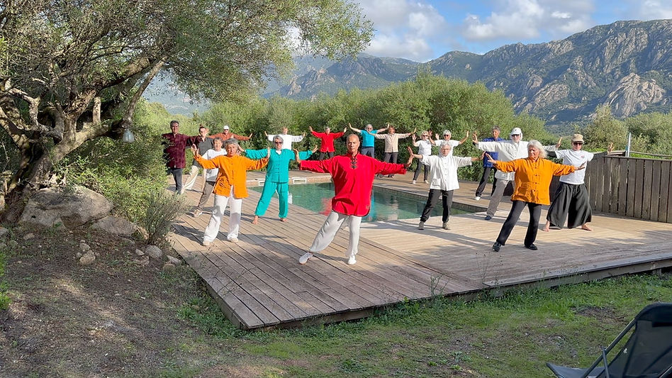 Yang Sheng Gong Qi Gong complet.jpg