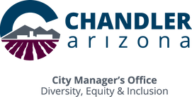 City_DEI_Color (1).png