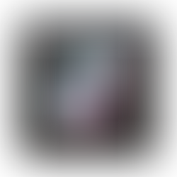 TikTok Dropshipping: The 2025 Dropshipping Trend