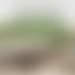 Outdoor Furniture Dropshipping in 2026: Best Patio Products + Fast Fulfillment Tips