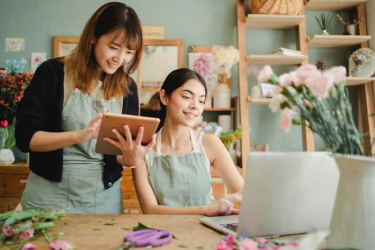 Start your dropshipping business today and order products from the recommended sellers by ZQdropshipping