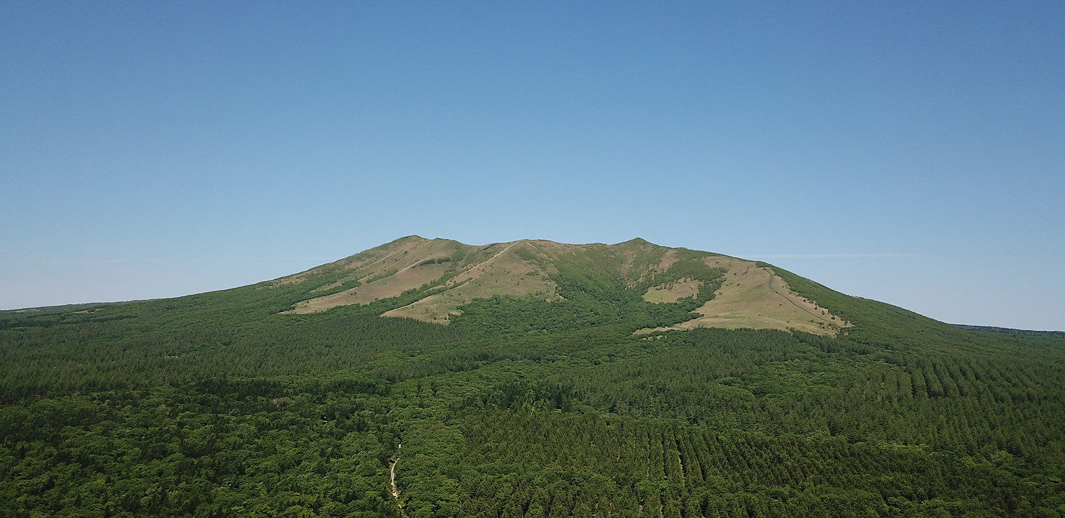 DJI_0195.JPG