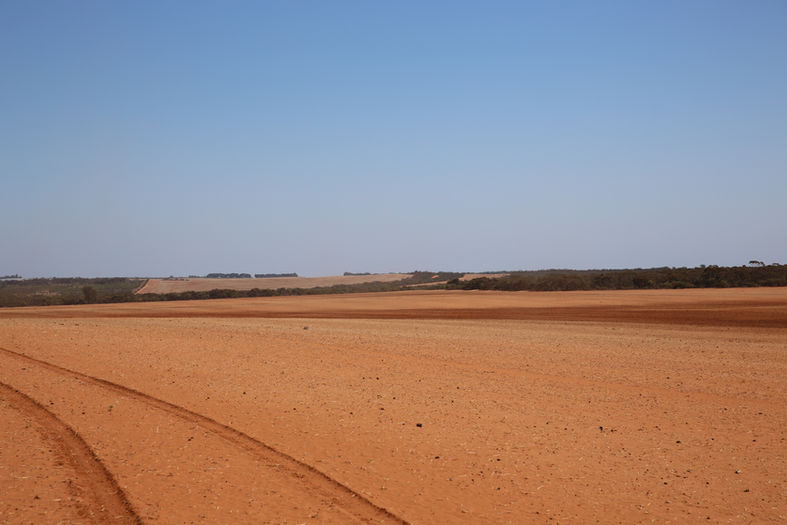 Empty paddock ready for planting citrus.