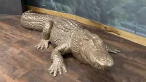Alligator_Bronze.png