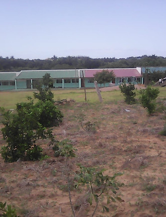 Edifio pomar 1.jpg