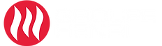 groupe-henri-logo.png