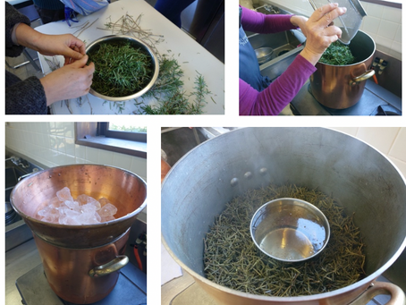 2020-2-9 お鍋で蒸留ハーブウオーター