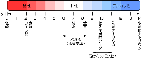 バリアブンタウのカカオが育つ土壌