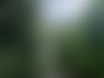 カカオを探す旅　ビンフオック