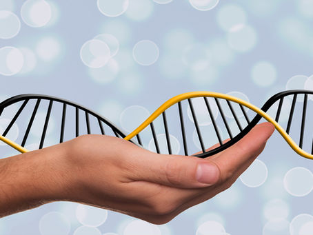 Fisioterapeuta: Qual o seu DNA profissional?