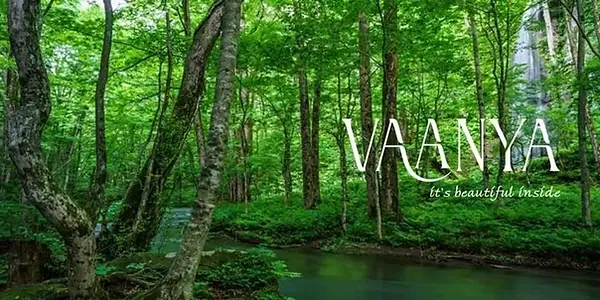 vaanya 2.webp