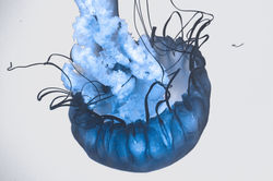 7263925F-8D71-4D46-AE48-C5CDB4117FC2