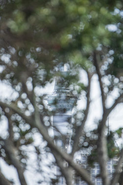 Auckland Skytower