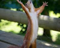 MORE BLAME FOR WHICH PRESIDENT TRUMP SHOULD BE EXPOSED (PT. 2)