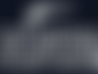 A LITTLE PRIMER ON PRIVATE GUN OWNERSHIP