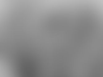 The Accidental Chronicler