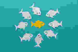 customer-attention-blogging