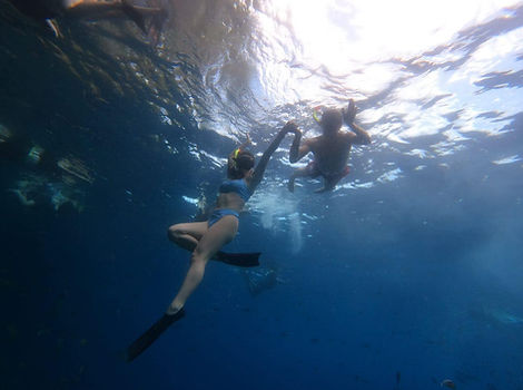 Underwater photo of 2 divers