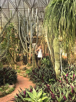 Jack hiding in cacti