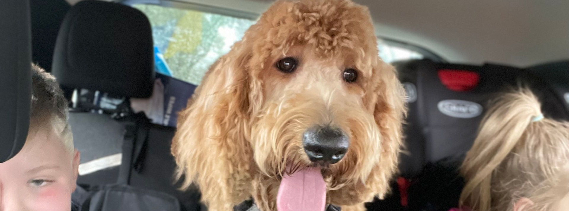 Benji 