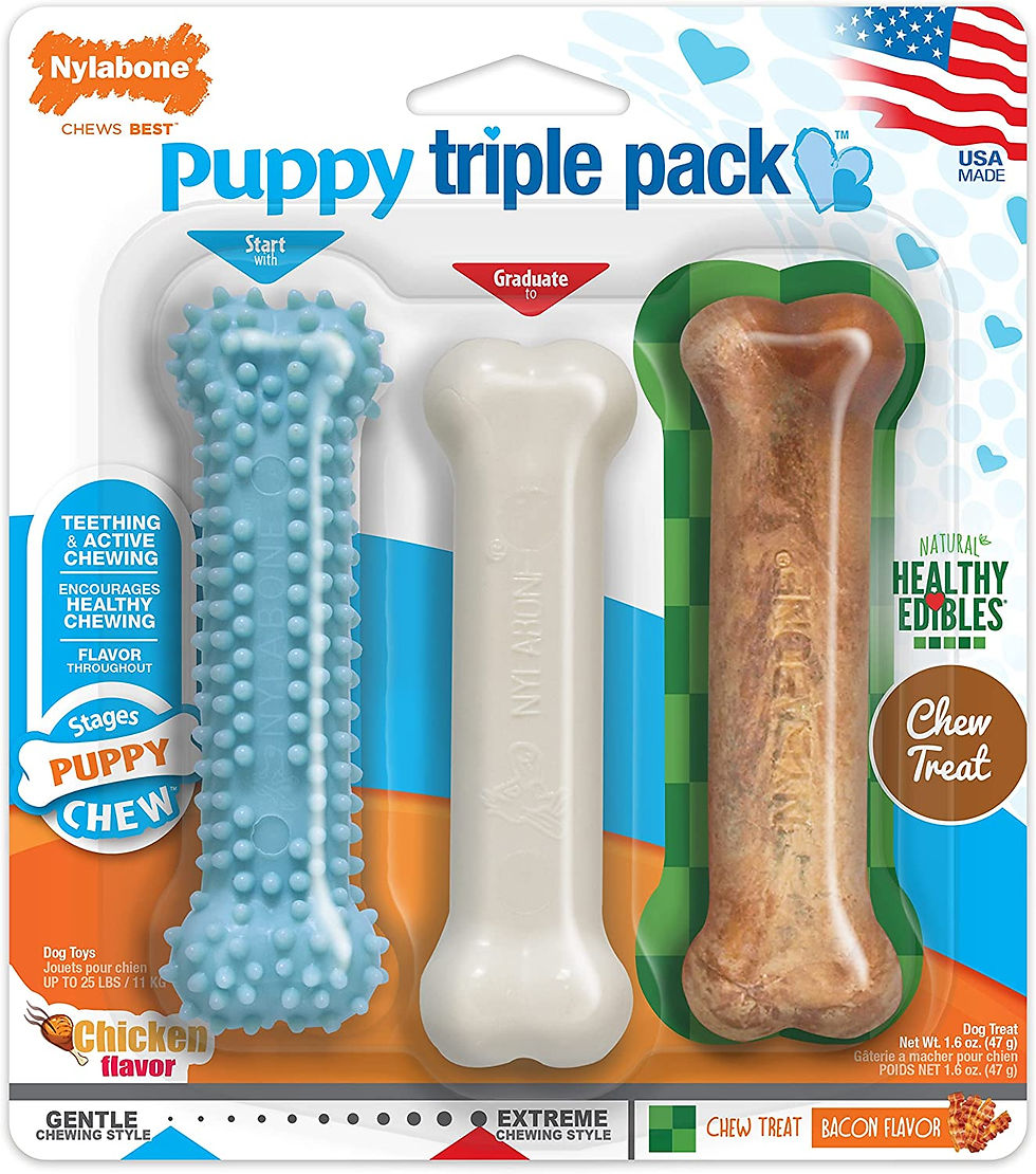 Nylabone Puppy Chew Variety Toy & Treat Triple Pack 3 count, Blue, Small/Regular