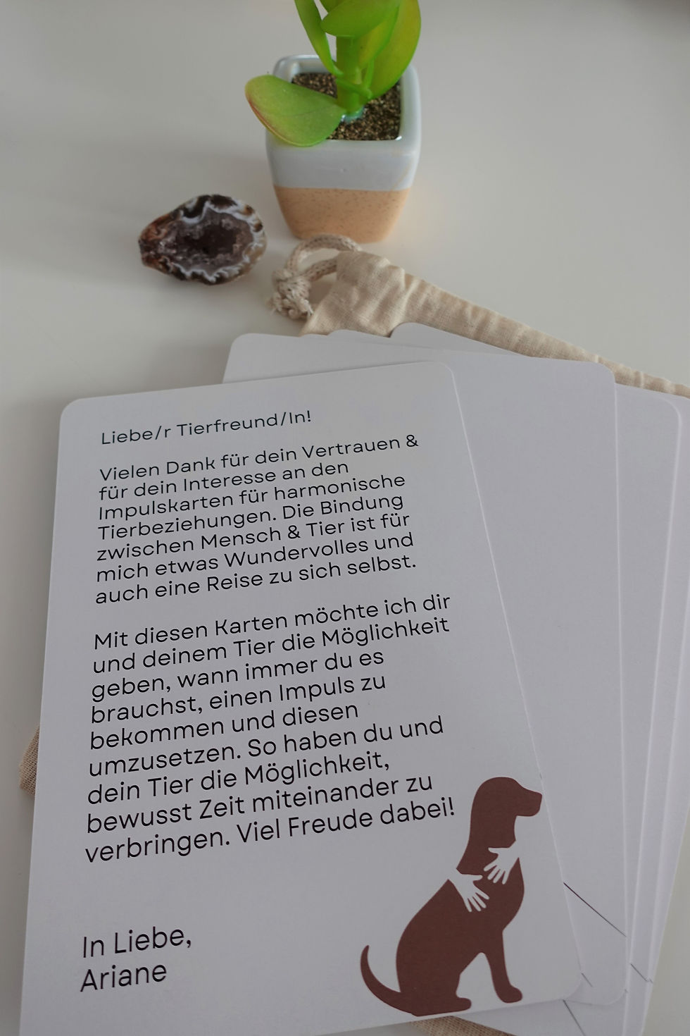 Miniaturbild: Impulskarten Mensch-Tier-Beziehungen