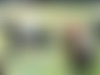 1880-1930, chroniques de l'âge d'or (V)