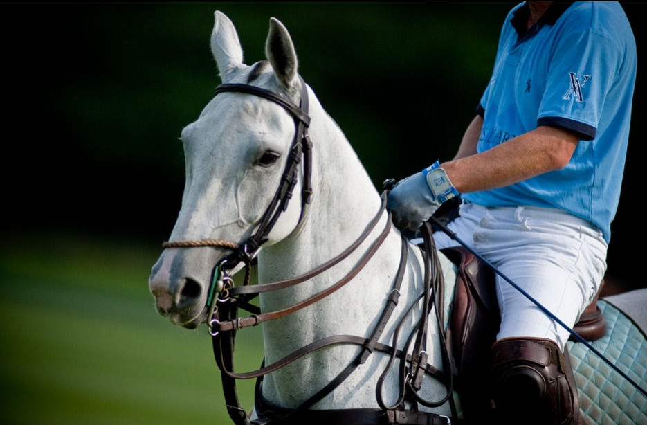cheval de polo le juste prix
