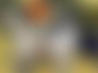 1880-1930, chroniques de l'âge d'or (VI)